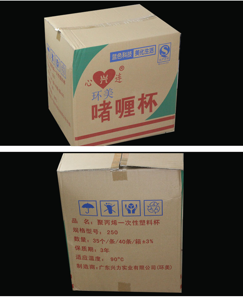 环美250汤杯