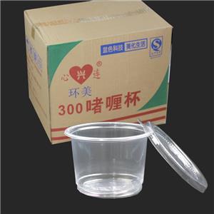 环美300汤杯