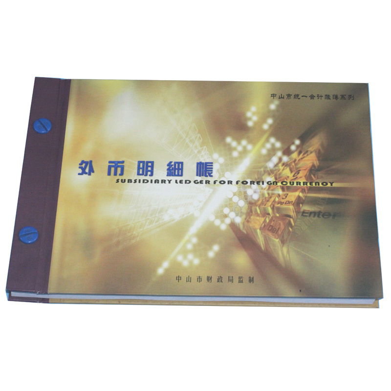 外币明细账（200页）