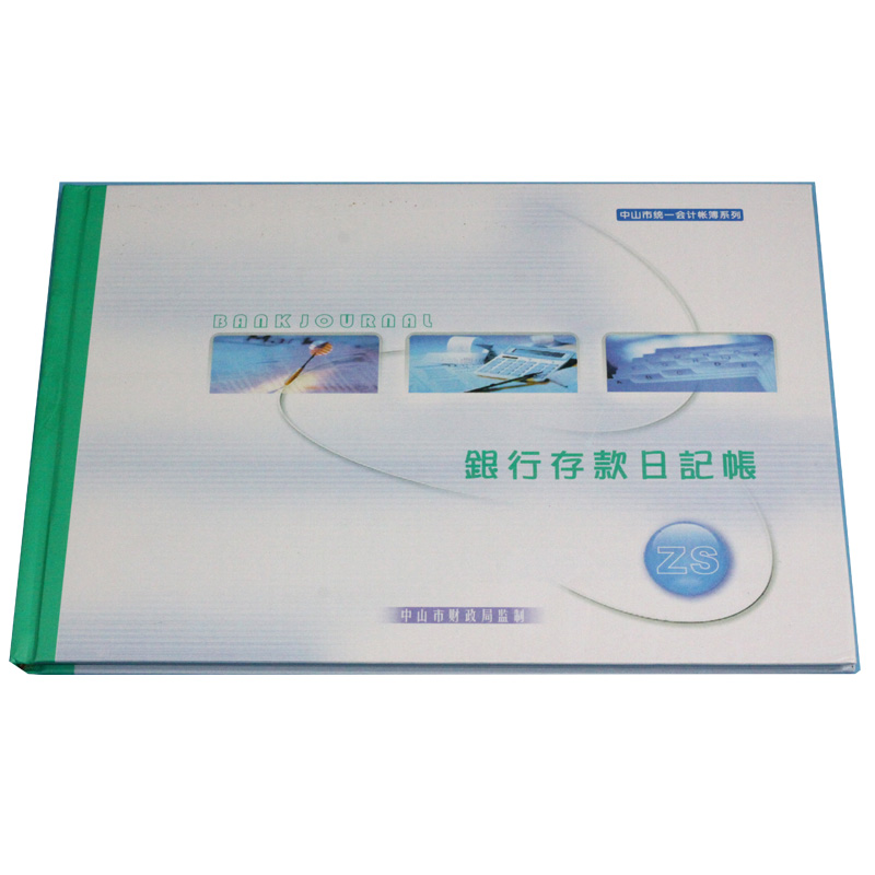 银行存款日记账（100页）
