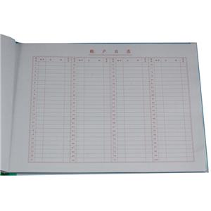 银行存款日记账（100页）