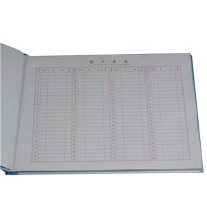 现金日记账（100页）